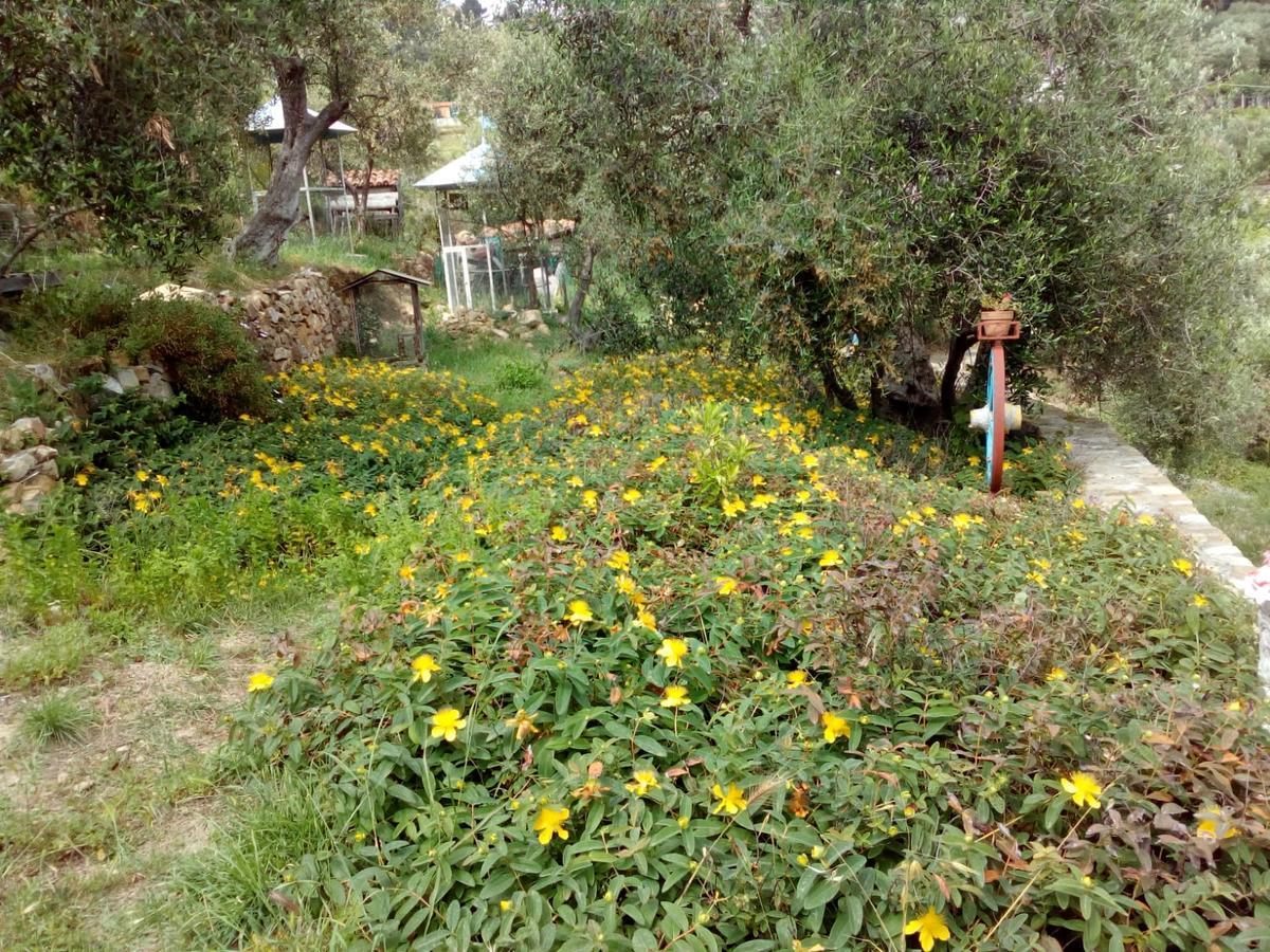 Villa Imperia Exterior foto